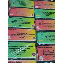 copy of Cartuchera de neoprene para Personalizar